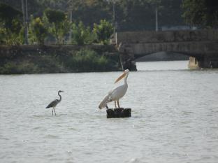 בהוי Hotel Shiv Lake מראה חיצוני תמונה